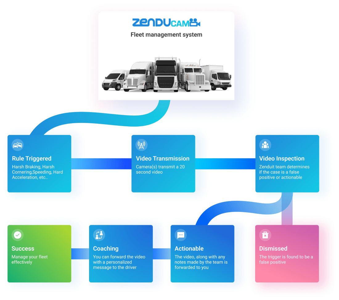 https://zenducam.com/wp-content/uploads/2022/06/roadmap-2x-1100x974.png